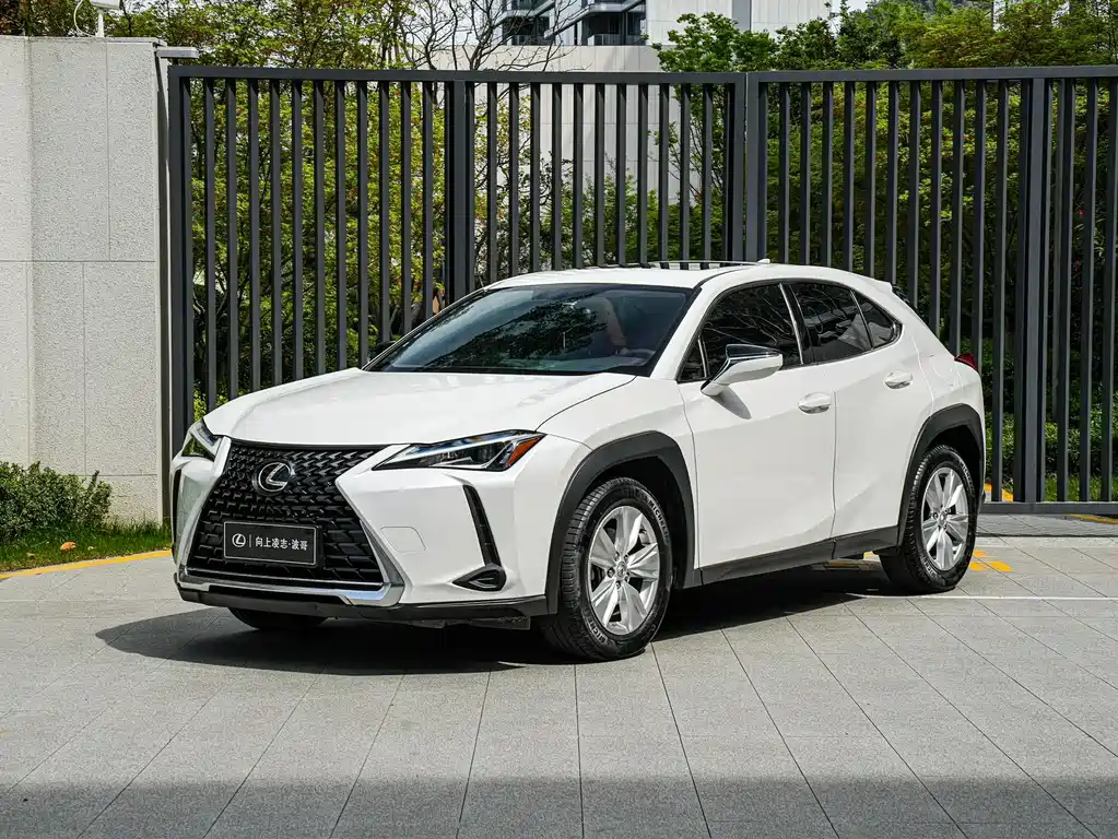 Lexus UX 2021 — фото 1