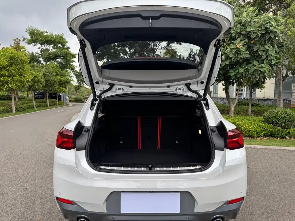 BMW X2 2021 — фото 9