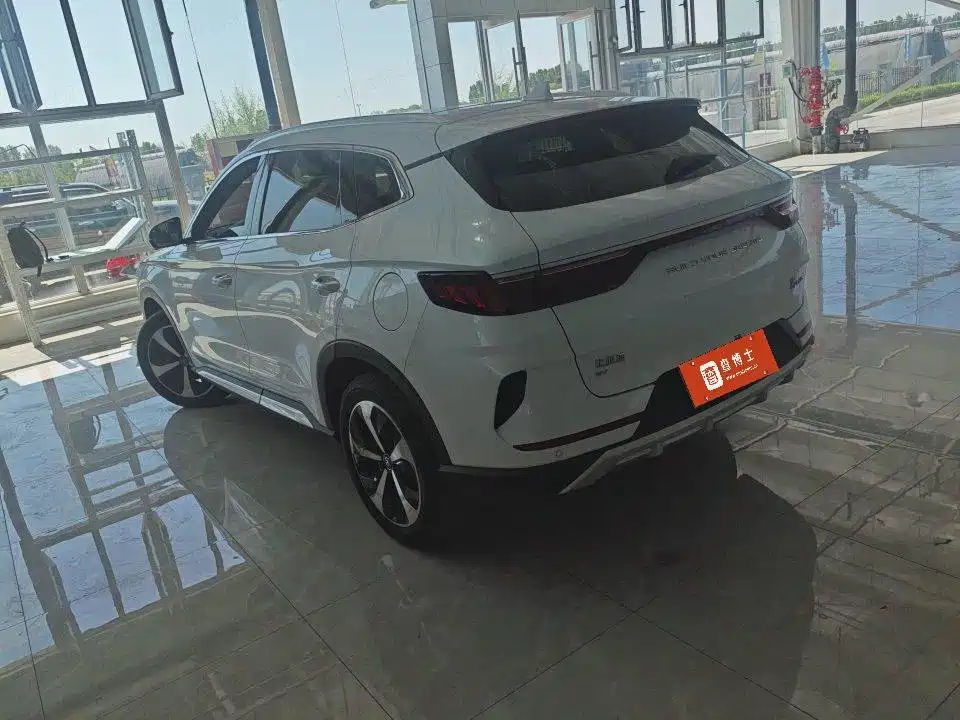 BYD PLUS New Energy 2023 — фото 5