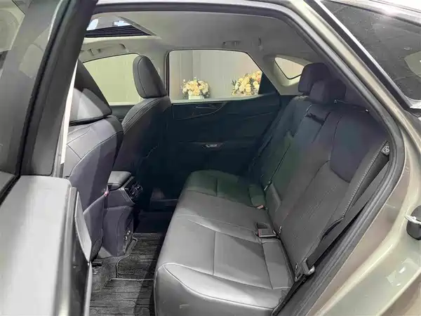 Lexus NX 2023