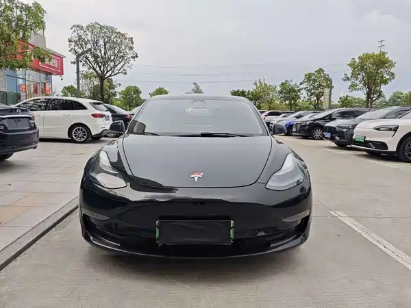 Tesla Model 3 2021