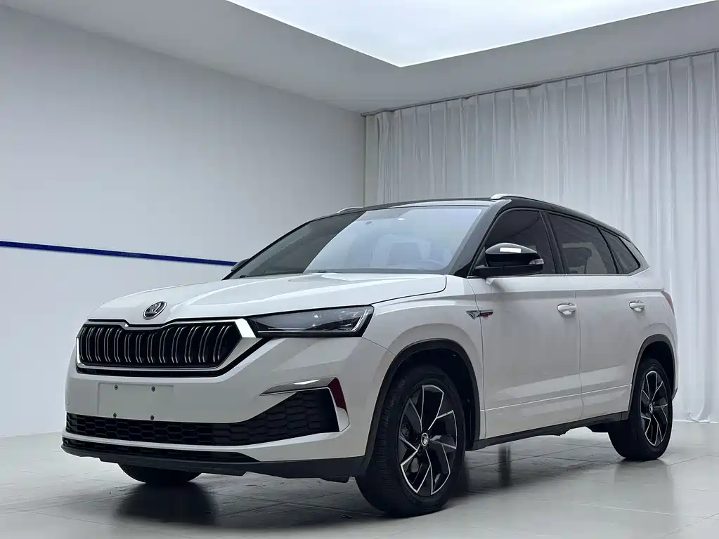 Skoda Kamiq 2022 — фото 1