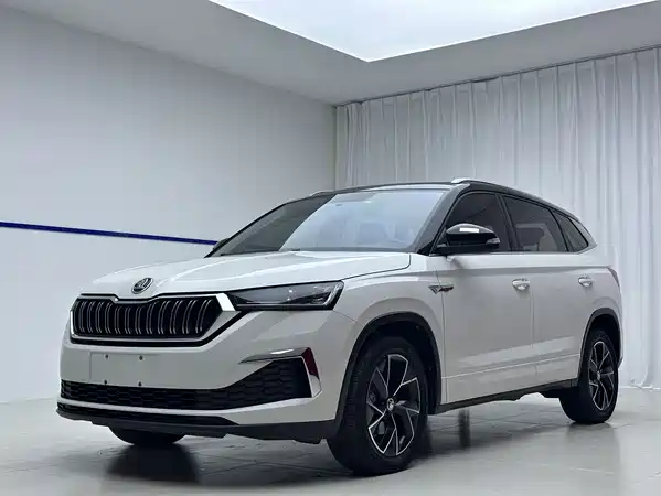 Skoda Kamiq 2022