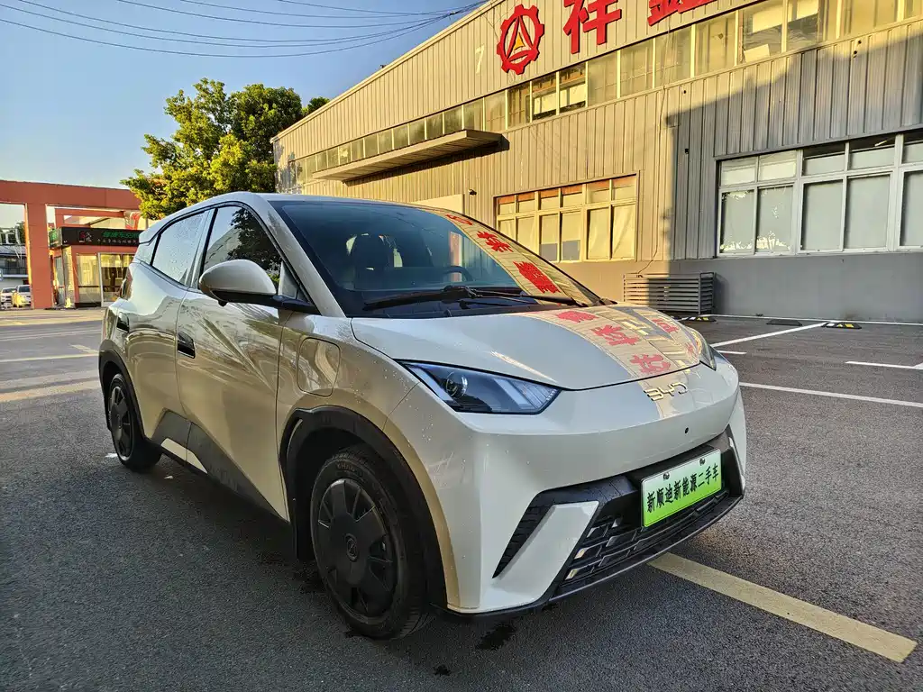 BYD Seagull 2024