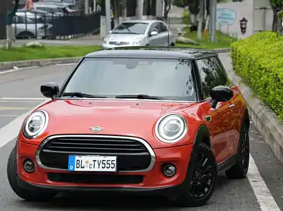 MINI MINI 2021