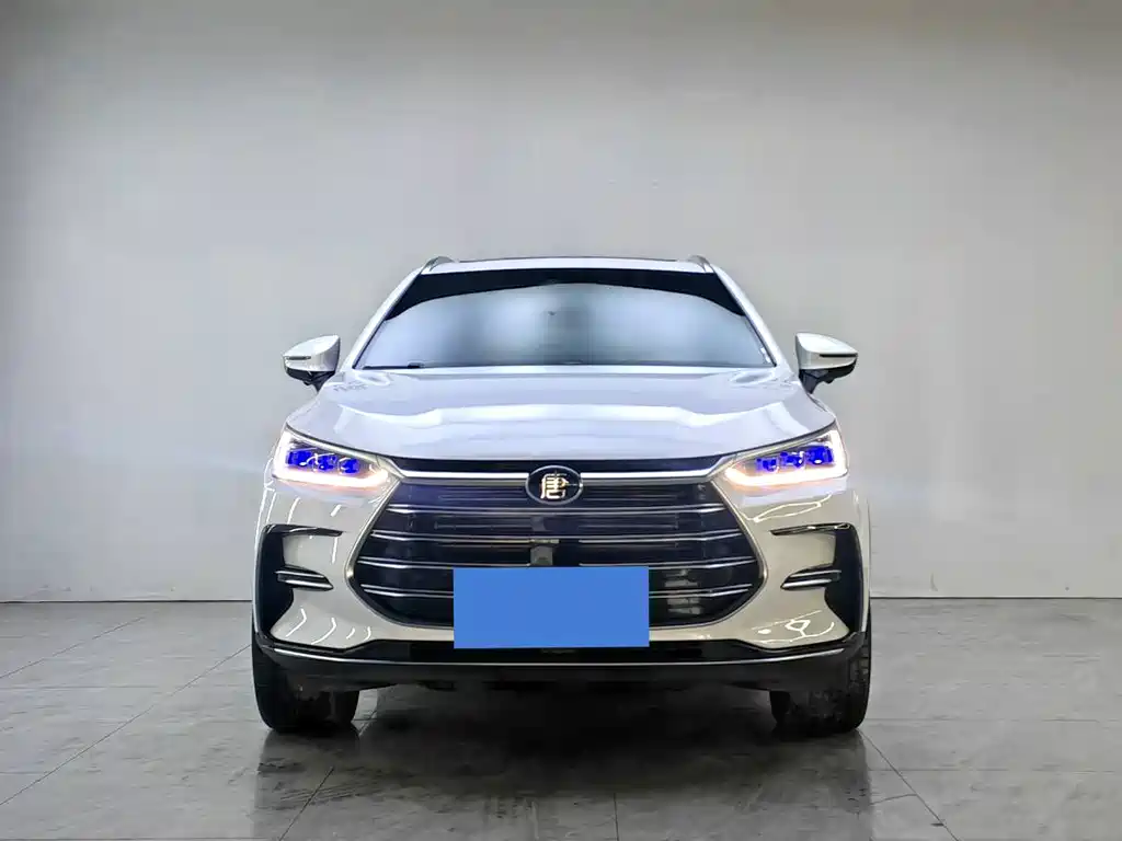 BYD Tang New Energy 2023 — фото 2
