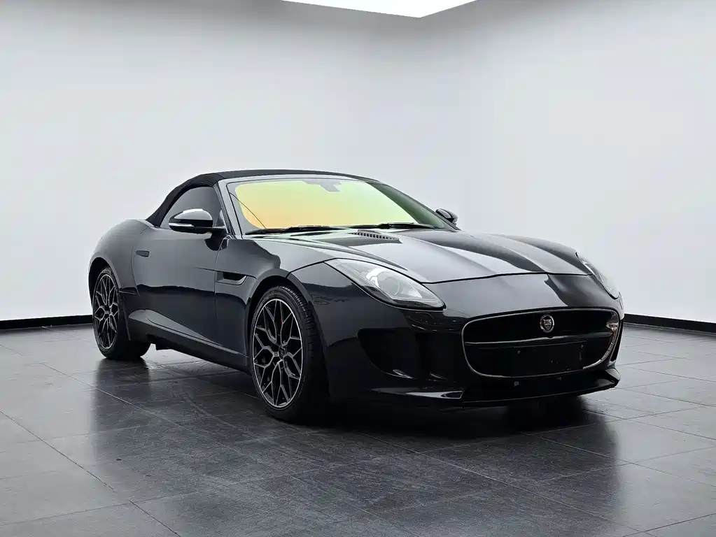 Jaguar F-TYPE 2013 — фото 10
