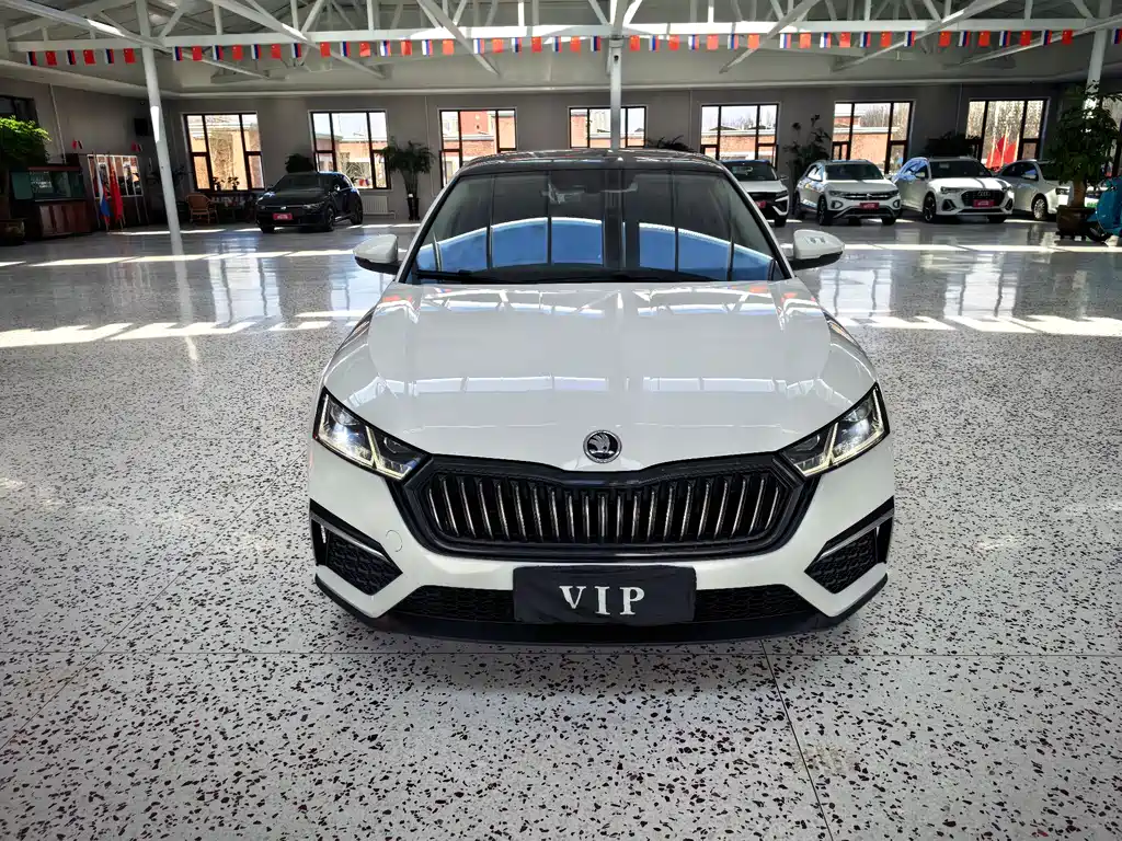 Skoda Octavia 2022 — фото 2