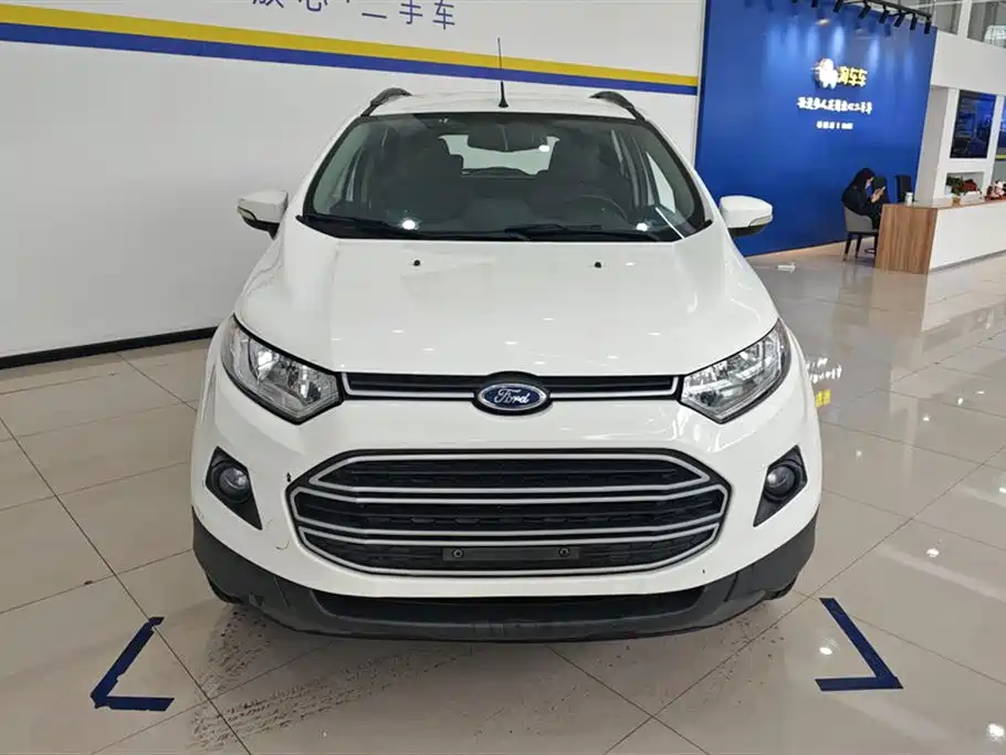 Ford Ecosport 2014 — фото 2