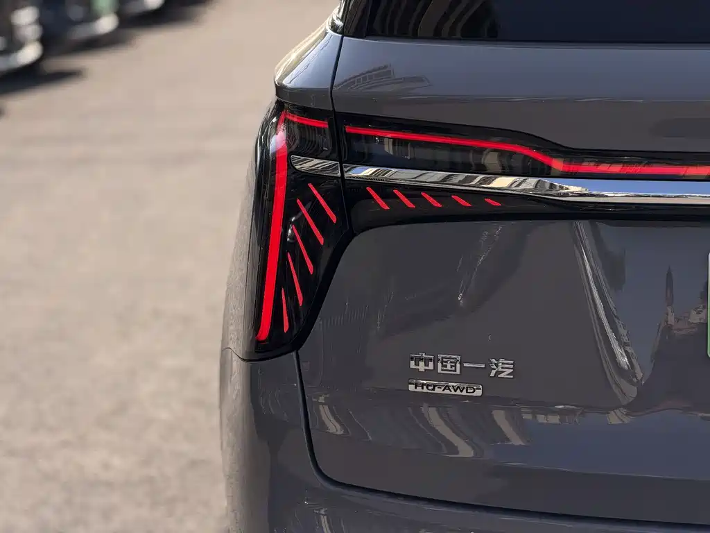 Hongqi HS7 PHEV 2024 — фото 14
