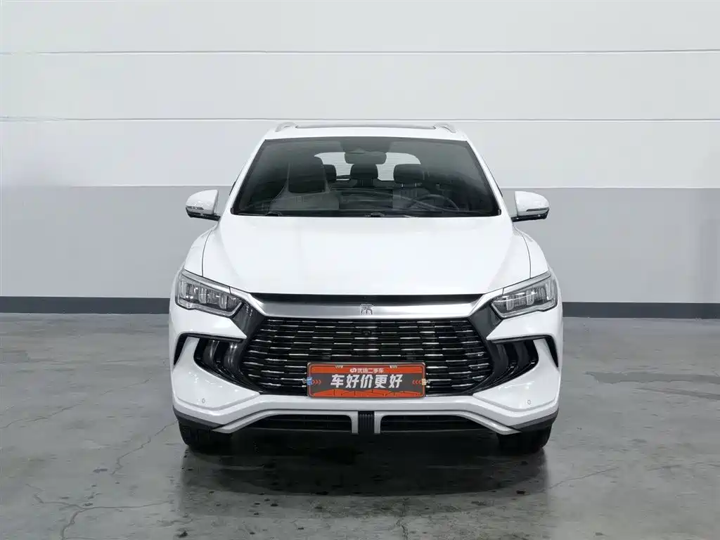 BYD Pro New Energy 2023 — фото 3