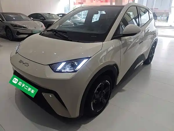 BYD Seagull 2024