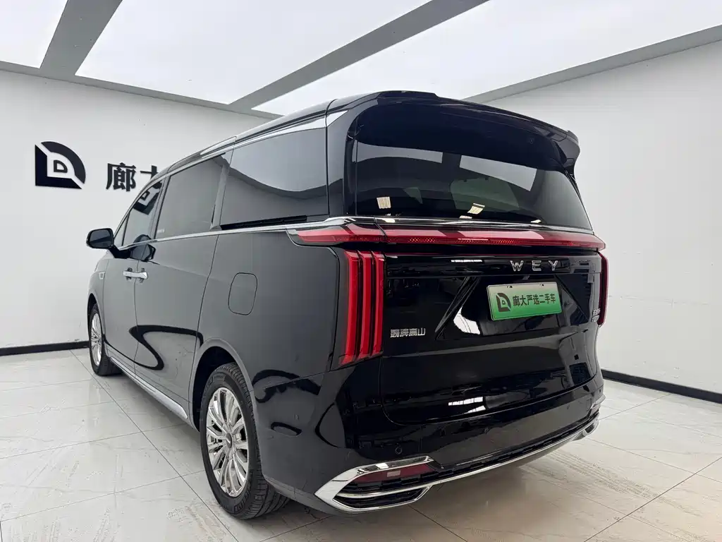 Wey Gaoshan 2025