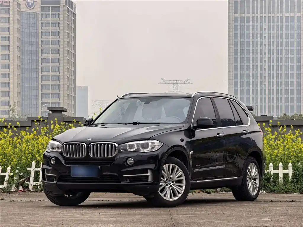 BMW X5 2015 — фото 2