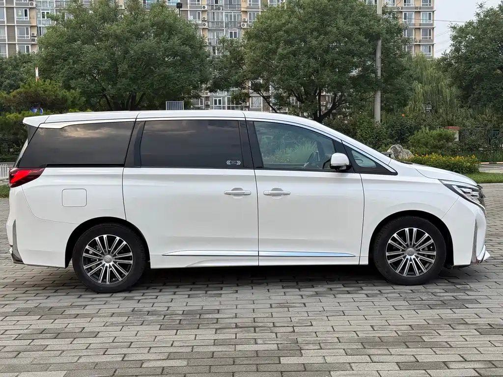 GAC Motor Trumpchi M8 2021 — фото 8