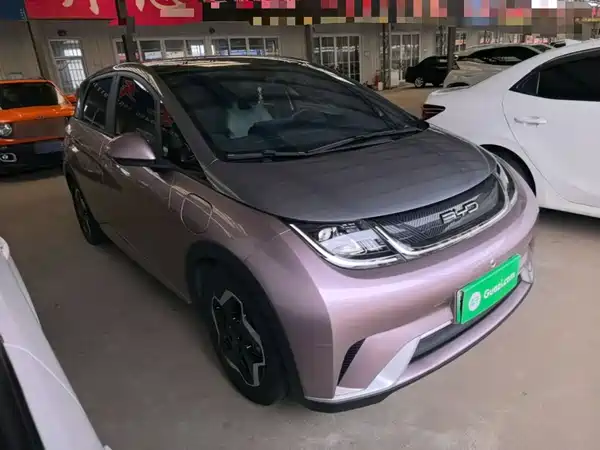 BYD Dolphin 2022