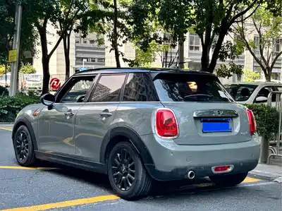 MINI MINI 2015