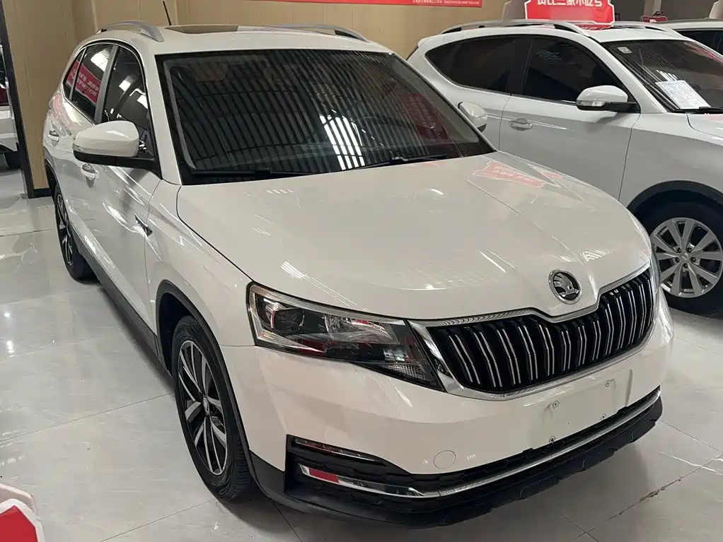 Skoda Kamiq 2019 — фото 10