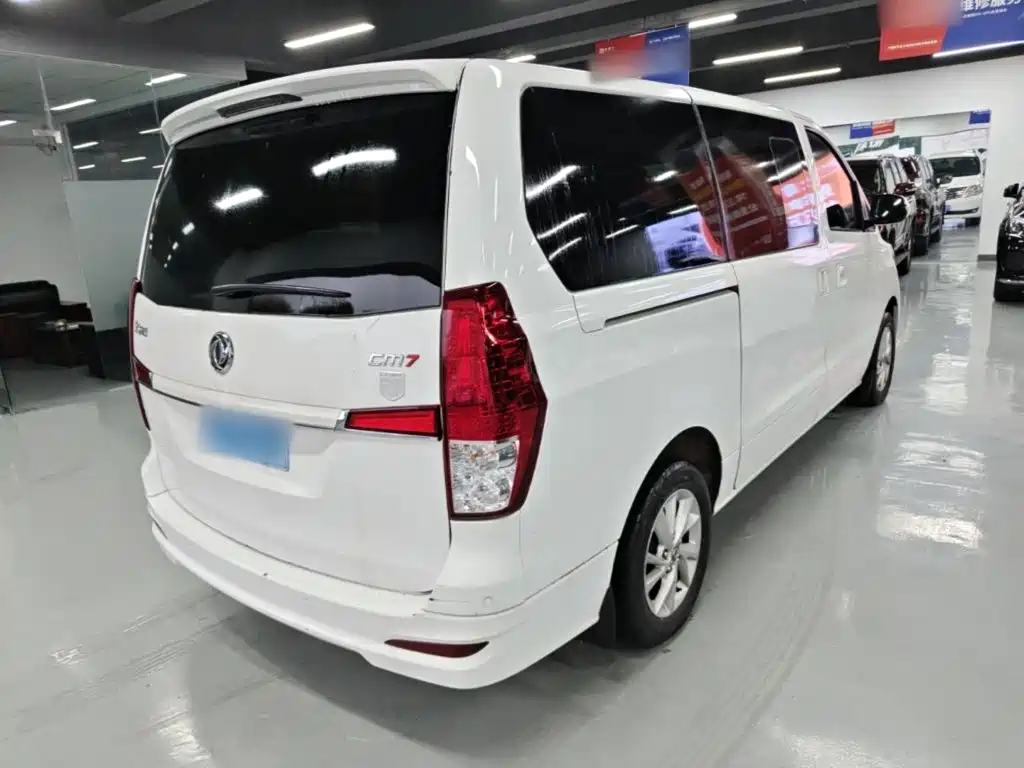 Fengxing Lingzhi PLUS 2021