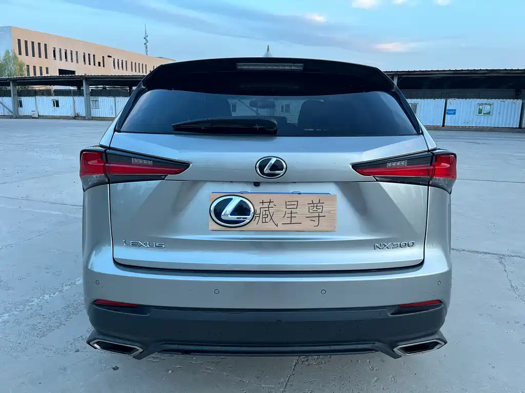 Lexus NX 2018 — фото 34