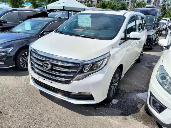 GAC Trumpchi M8 2019