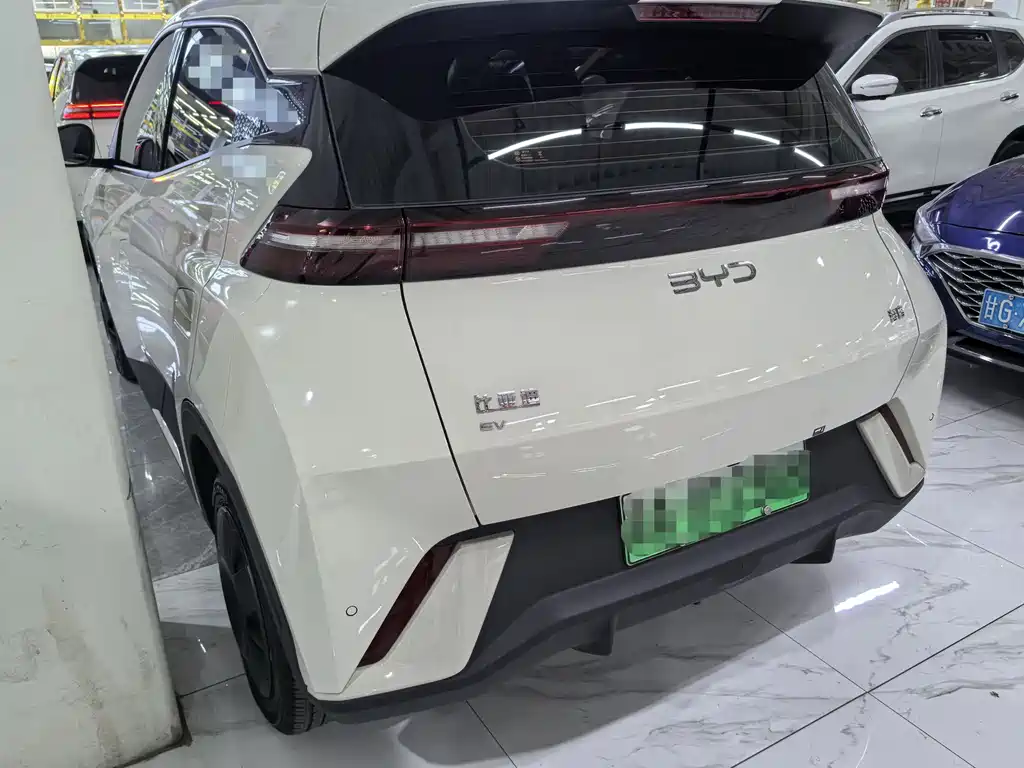 BYD Seagull 2024