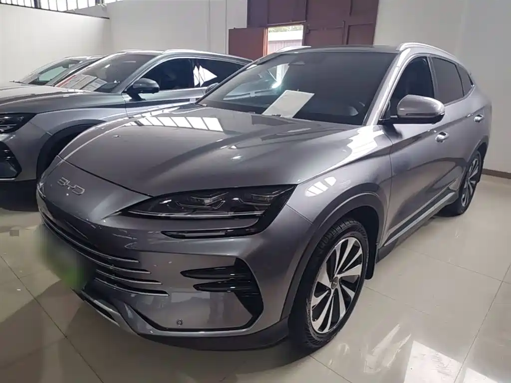 BYD PLUS New Energy 2024 — фото 1