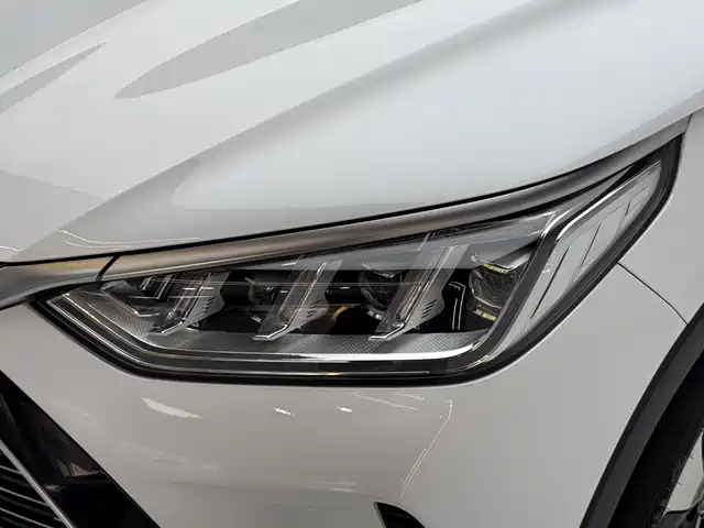BYD PLUS New Energy 2022 — фото 11