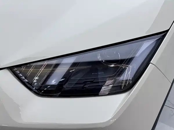 BYD Seagull 2025