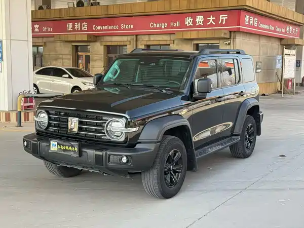 Tank 300 2024