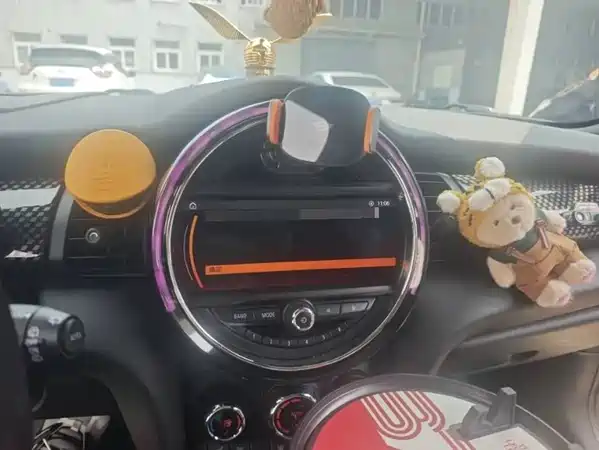 MINI 2019