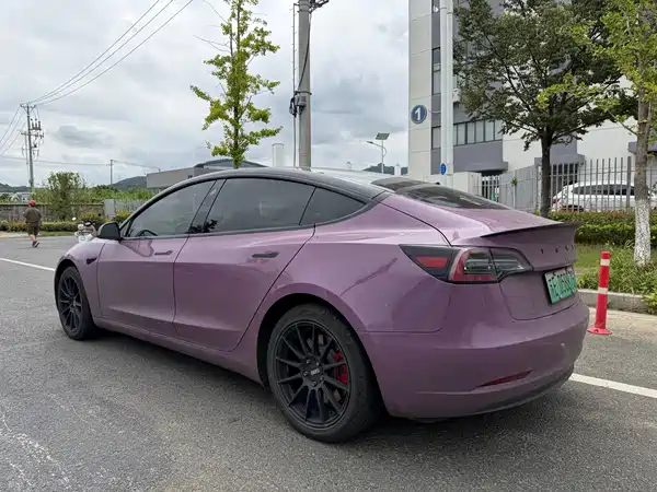Tesla Model 3 2019