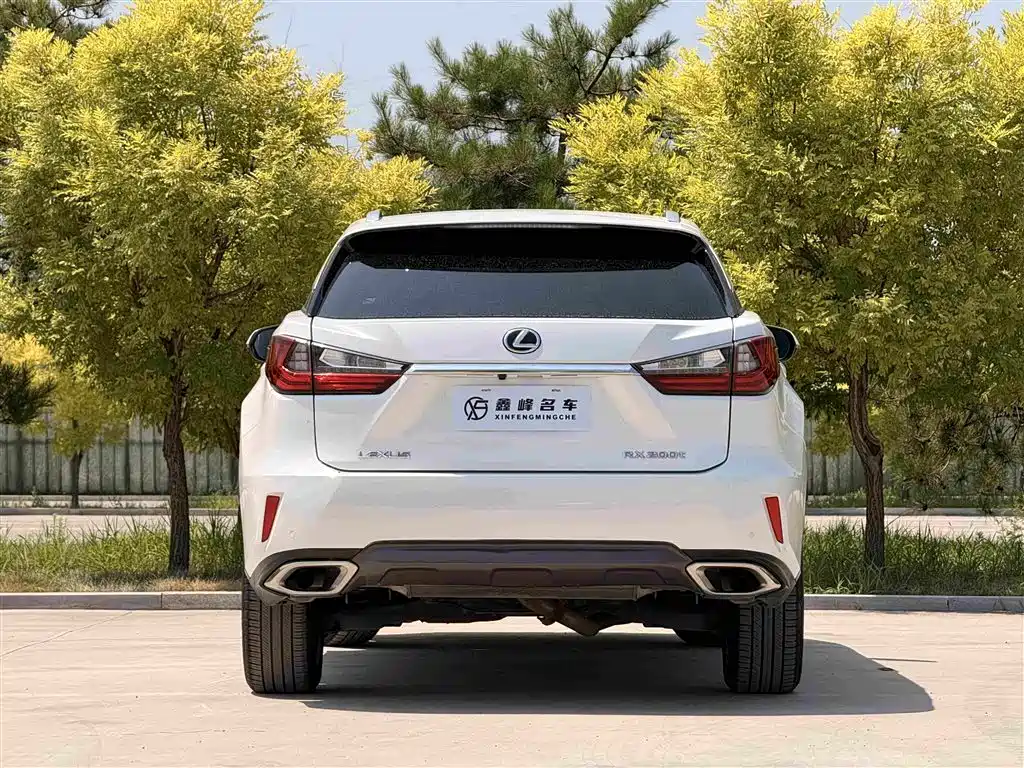 Lexus RX 2016 — фото 24