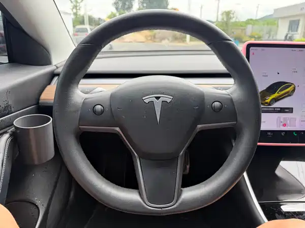 Tesla Model 3 2019