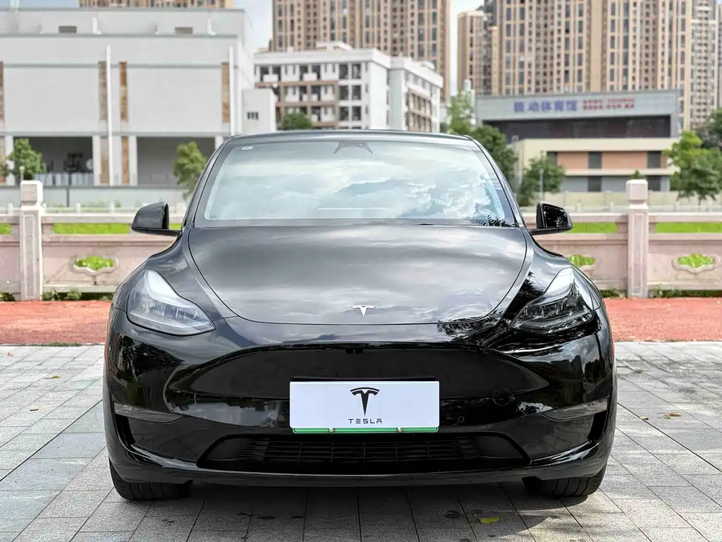Tesla Model Y 2024 — фото 2