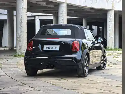 MINI MINI 2022