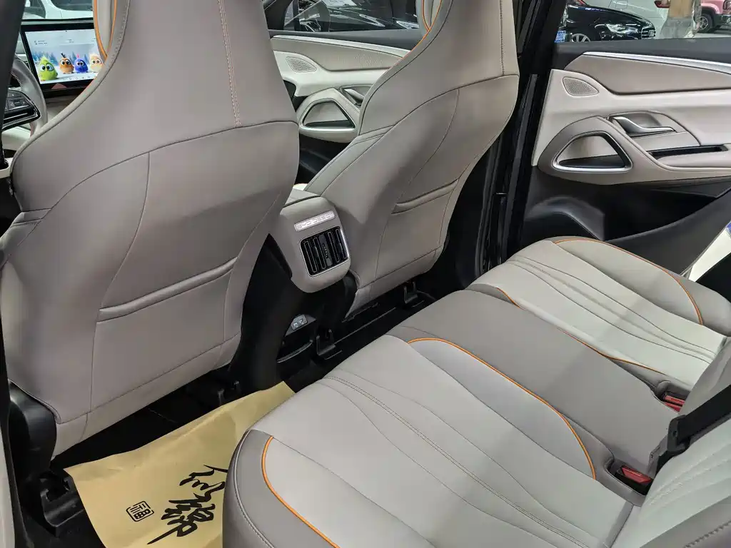 BYD Song Pro New Energy 2024 — фото 9