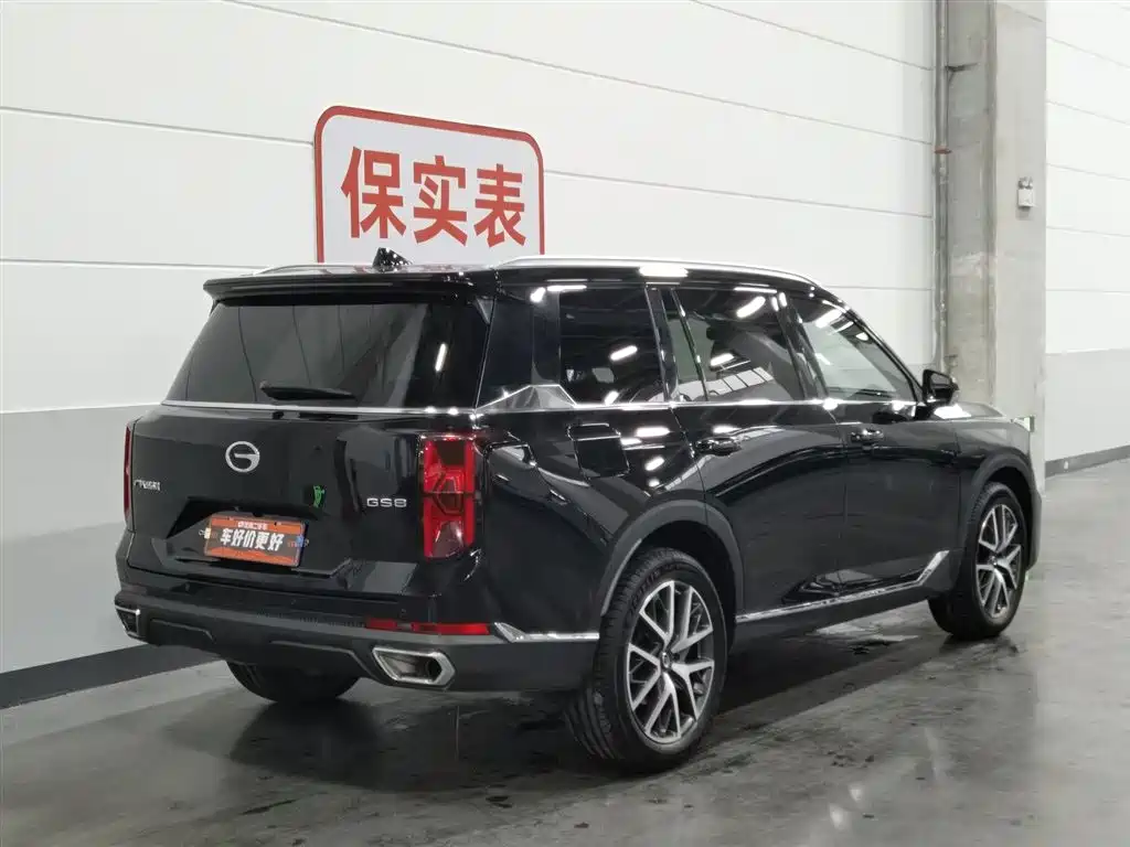 GAC Motor Trumpchi GS8 2024 — фото 2