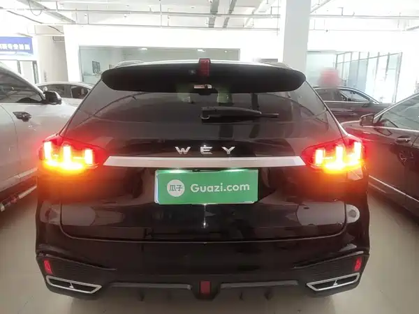 Wey VV5 2020