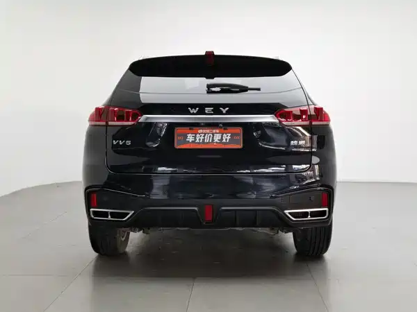 Wey VV5 2020
