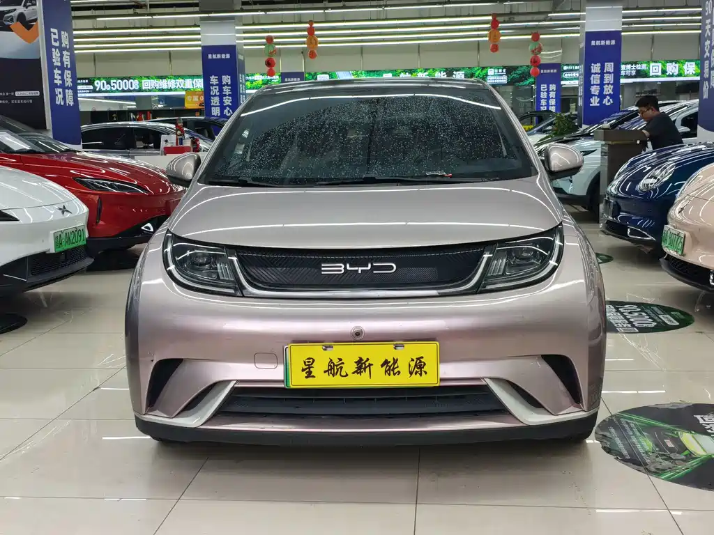 BYD Dolphin 2022
