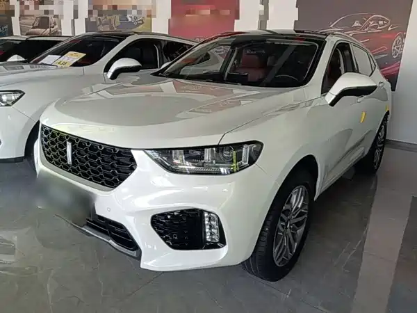 Wey VV5 2019