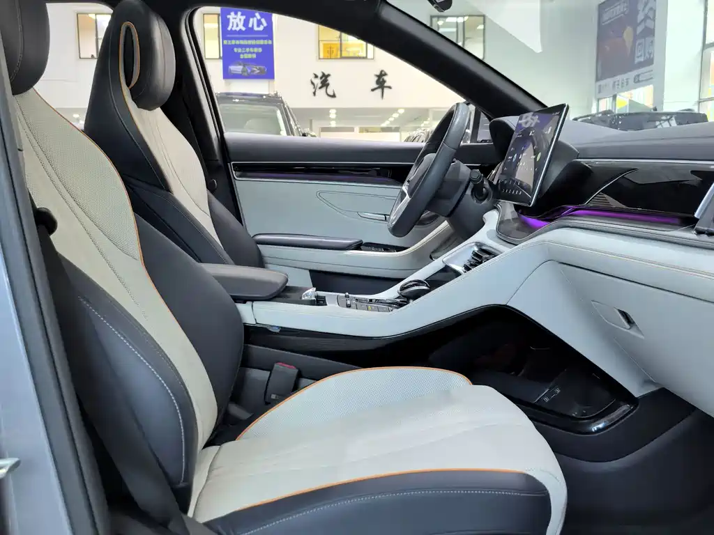 BYD PLUS New Energy 2023 — фото 11