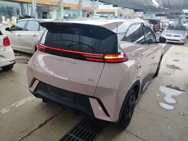 BYD Seagull 2024