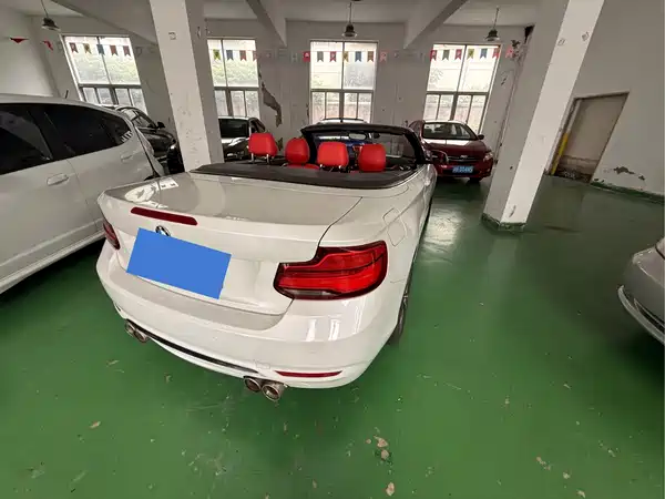 BMW 2 Series 2018
