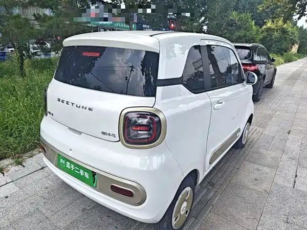 Bestune Pony 2024