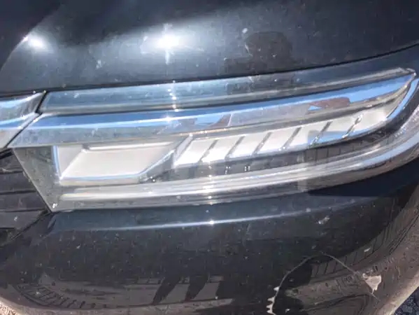 Honda Avancier 2022
