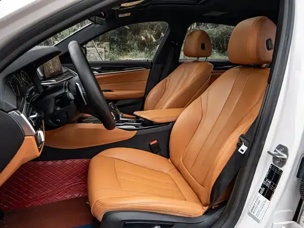 BMW 5 Series 2019
