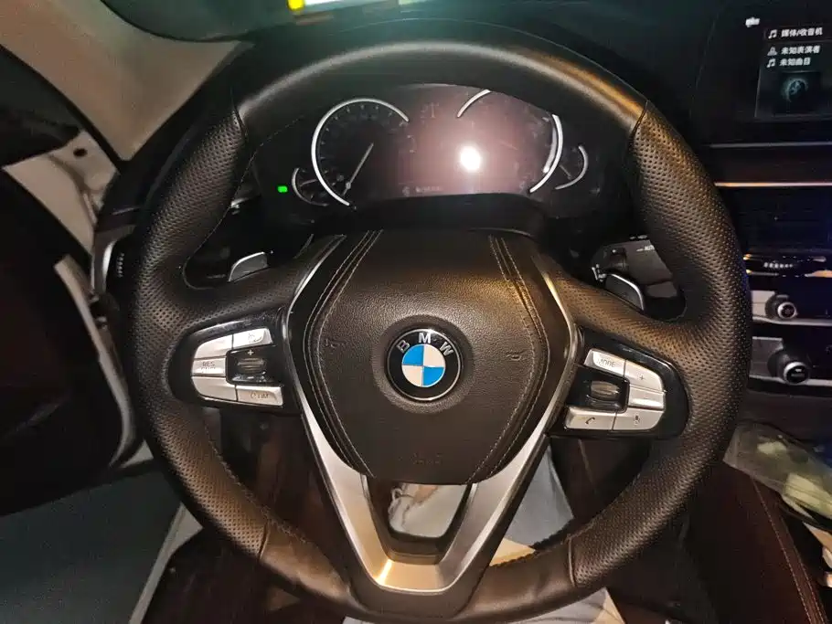 BMW 5 Series 2018 — фото 15