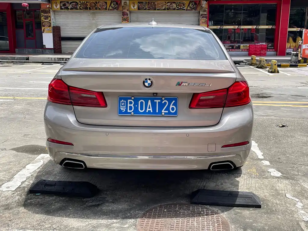 BMW 5 Series 2019 — фото 8